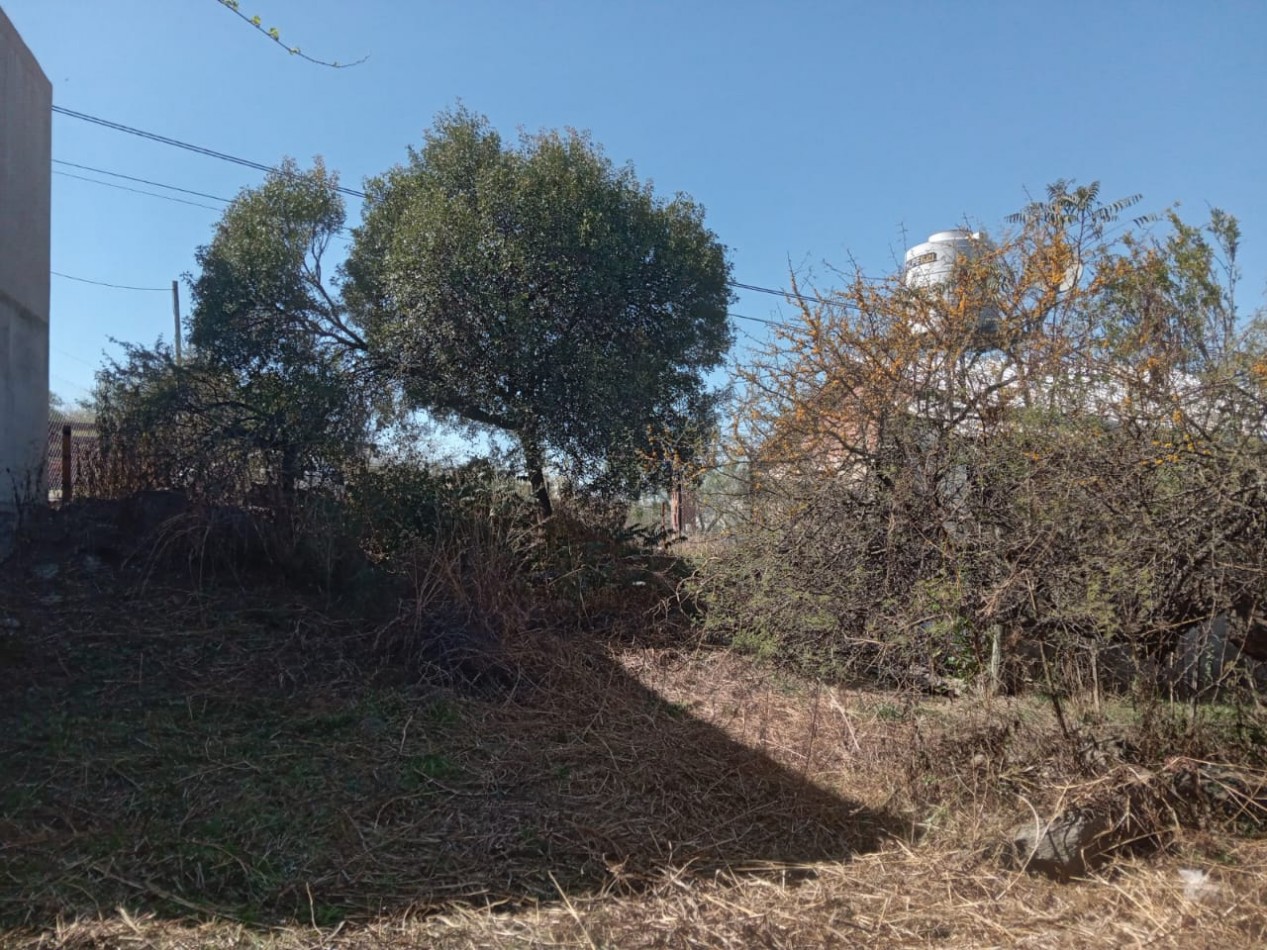  TERRENO EN VENTA EN VILLA SAN NICOLAS MALAGUENO. TE67