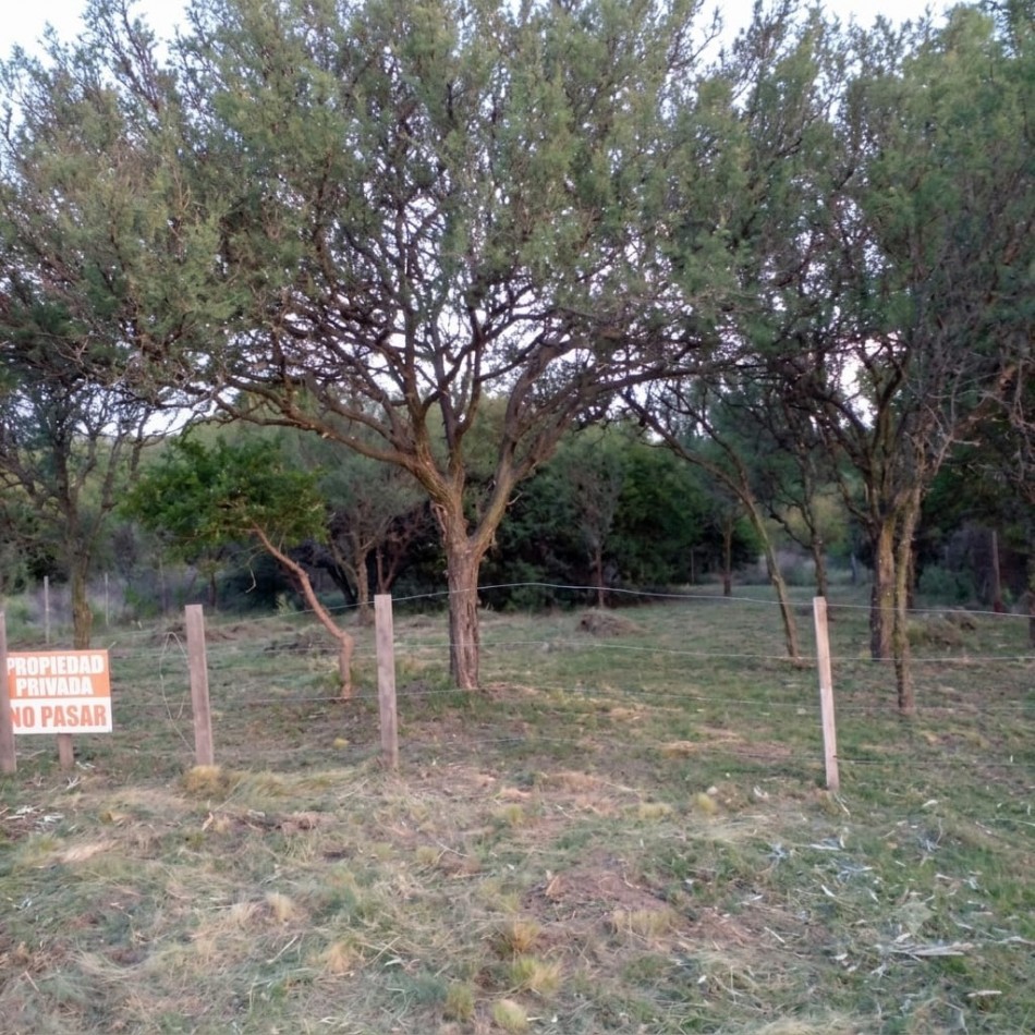 TERRENO EN VENTA EN ENTORNO NETAMENTE NATURAL EN CASA GRANDE. TE145